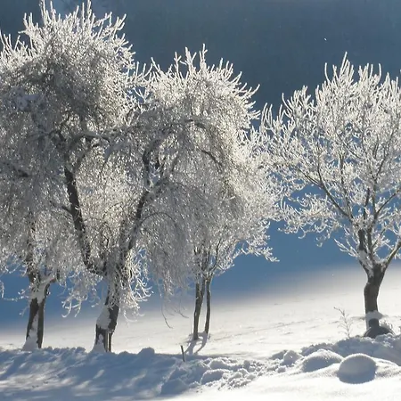 Appartement Obereinschneithof