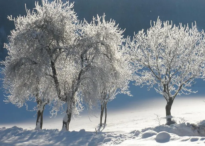 公寓 Obereinschneithof