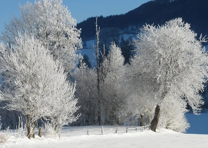 公寓 Obereinschneithof *