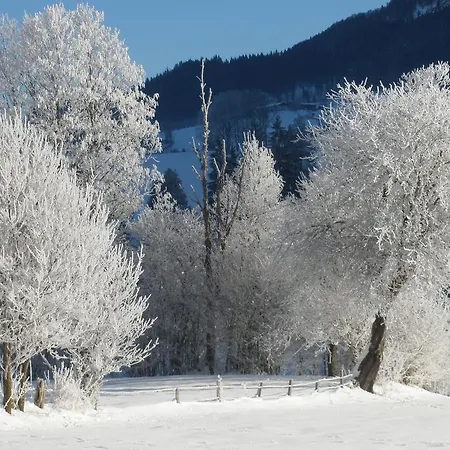 Daire Obereinschneithof *