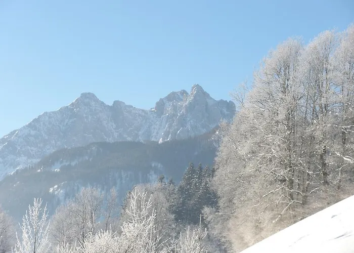 Obereinschneithof Apartman *